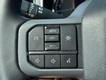 2023 Ford F-150 4WD XLT SuperCrew thumbnail image 17