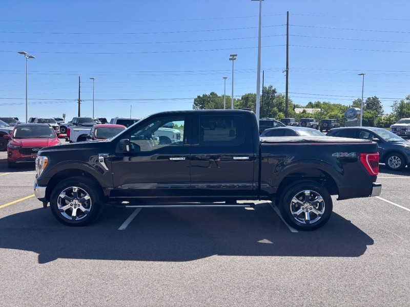 Ford F-150 Vehicle Full-screen Gallery Image 06