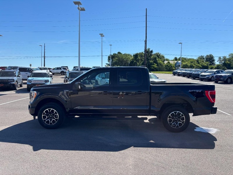 Ford F-150 Vehicle Full-screen Gallery Image 06