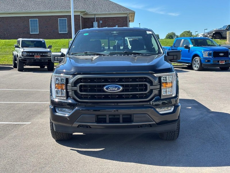 Ford F-150 Vehicle Full-screen Gallery Image 08