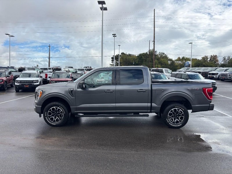 Ford F-150 Vehicle Full-screen Gallery Image 06
