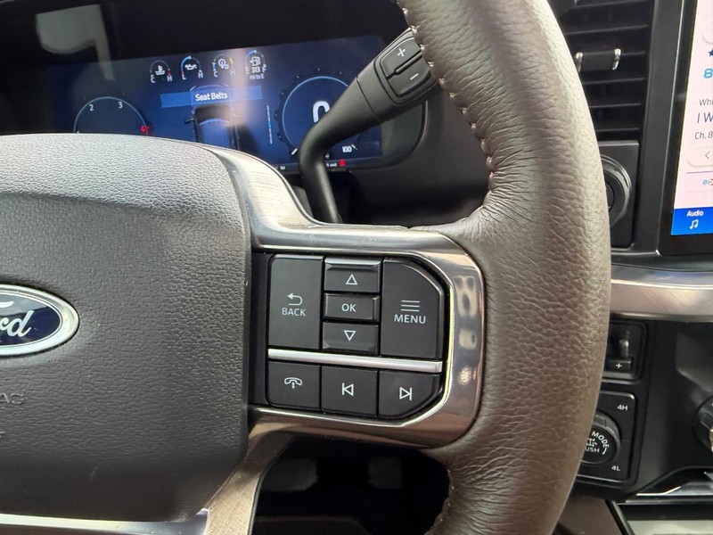 Ford Super Duty F-250 SRW Vehicle Full-screen Gallery Image 12