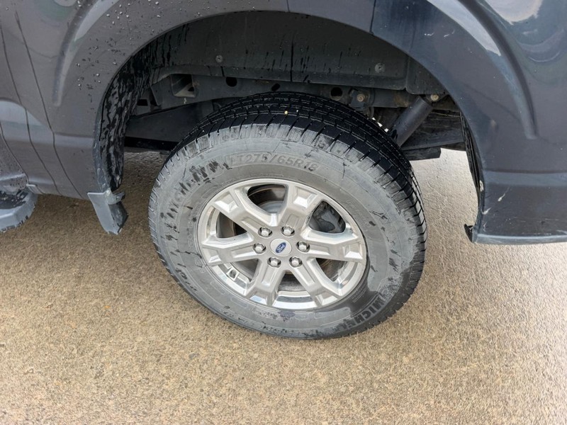 Ford F-150 Vehicle Full-screen Gallery Image 6