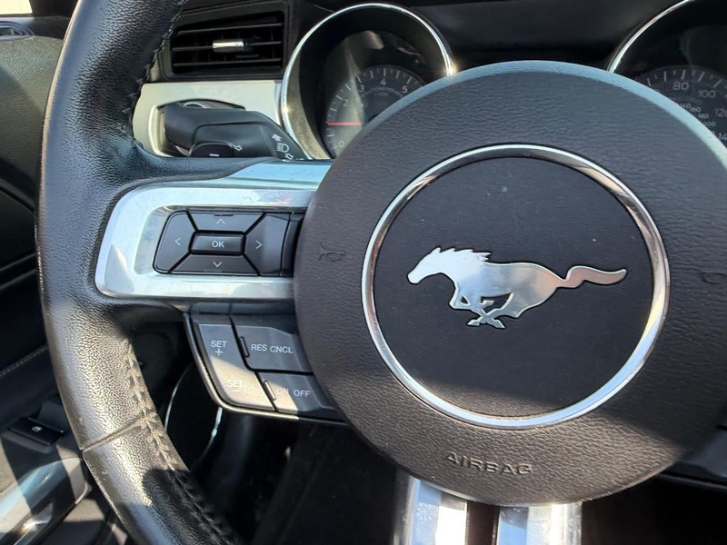 Ford Mustang Vehicle Full-screen Gallery Image 14
