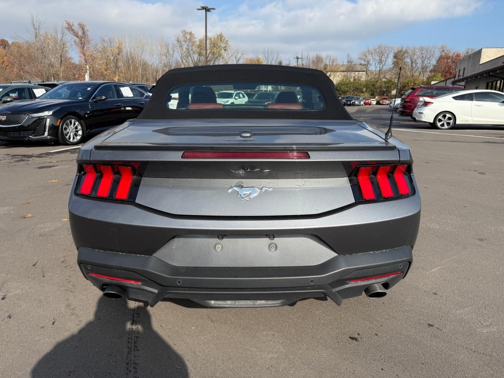 Ford Mustang Vehicle Full-screen Gallery Image 07