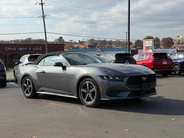 more details - ford mustang