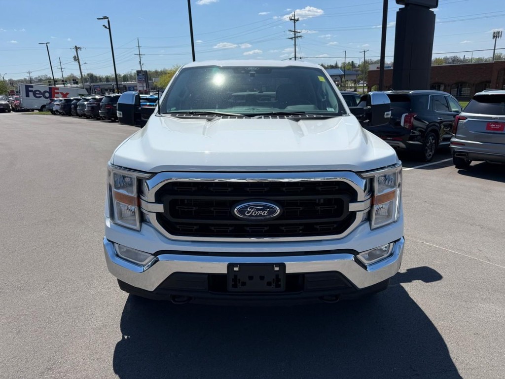 Ford F-150 Vehicle Full-screen Gallery Image 10