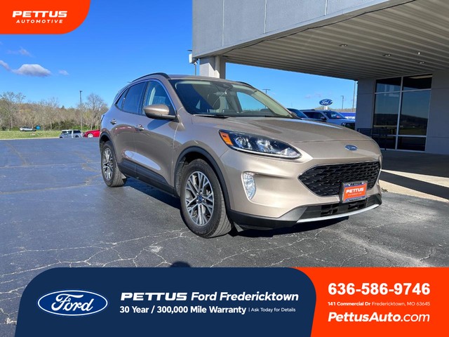 2020 Ford Escape SEL at Pettus Ford Fredericktown in Fredericktown MO