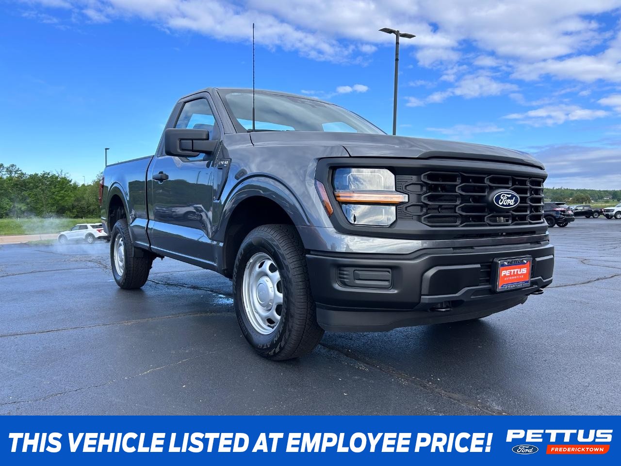 2025 Carbonized Gray Metallic Ford F-150 XL Truck