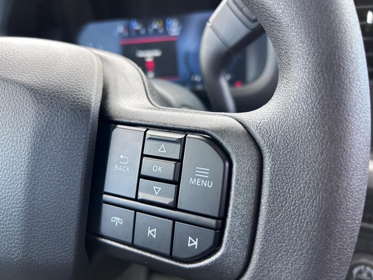 2025 Carbonized Gray Metallic Ford F-150 XL 4X4 Truck