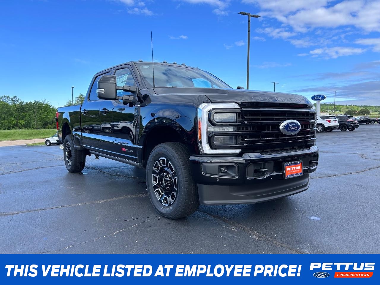 2025 Agate Black Metallic Ford Super Duty F-250 SRW Platinum 703A Truck