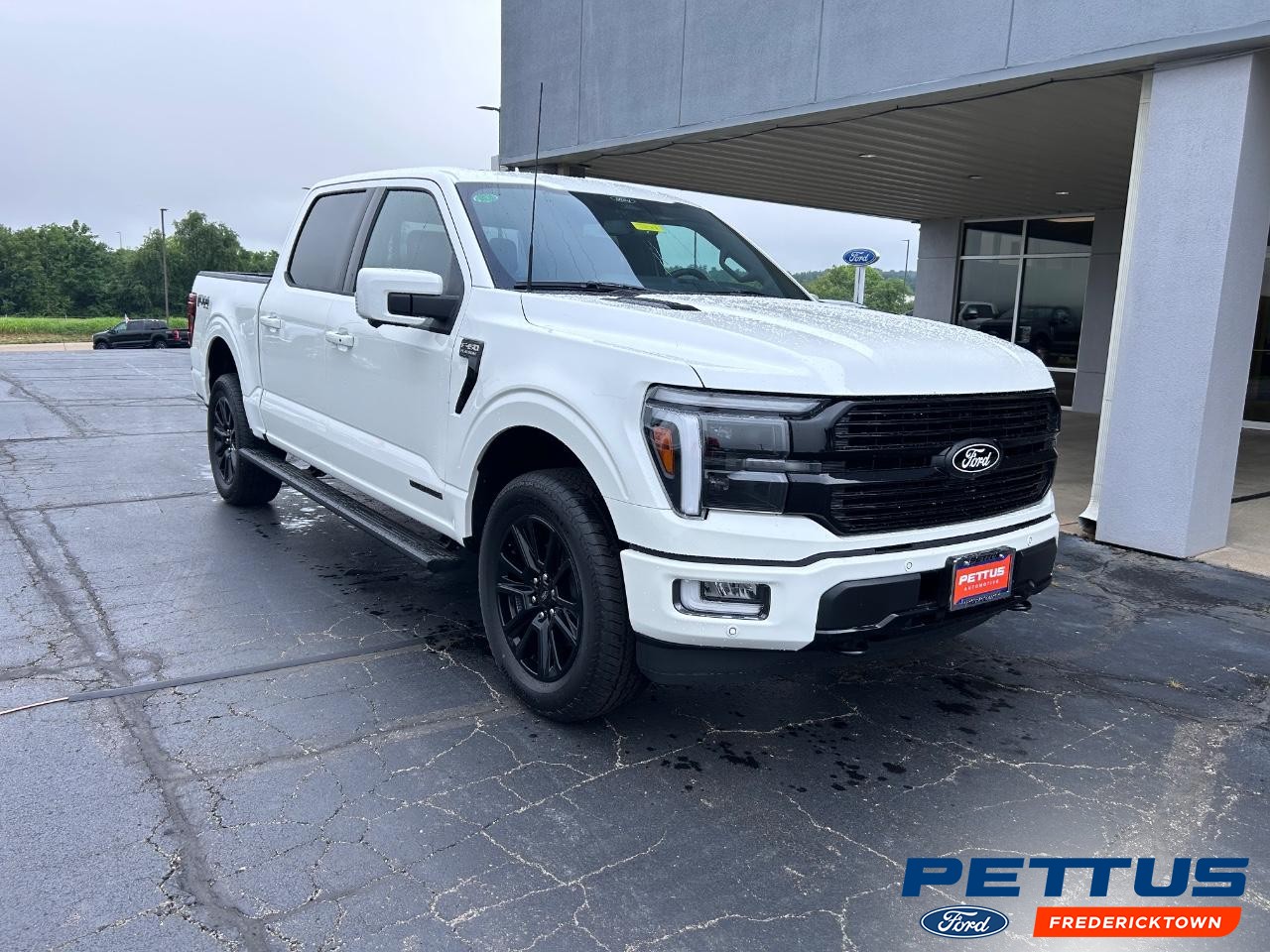 2025 Star White M Ford F-150 Platinum 4X4 Truck