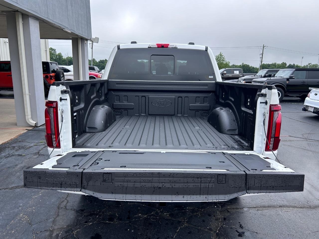 2025 Ford F-150 Platinum photo 5