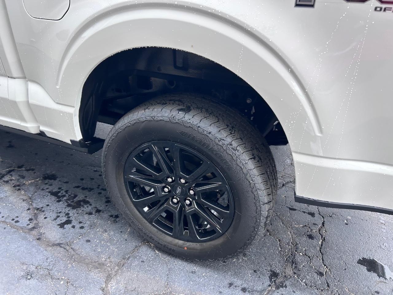 2025 Ford F-150 Platinum photo 6
