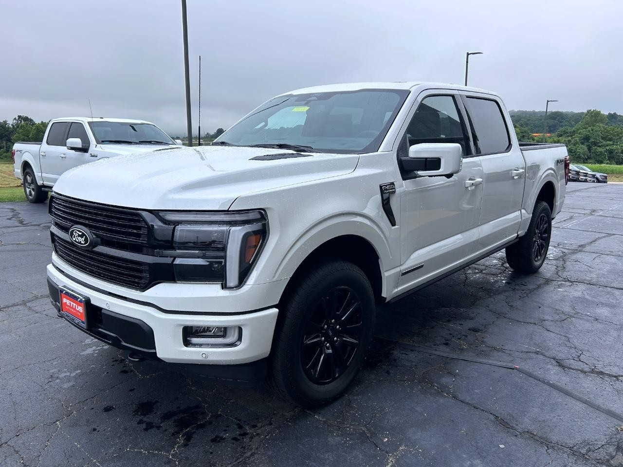 2025 Ford F-150 Platinum photo 7