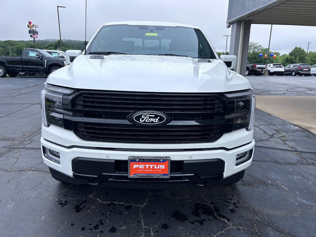 2025 Ford F-150 Platinum photo 8