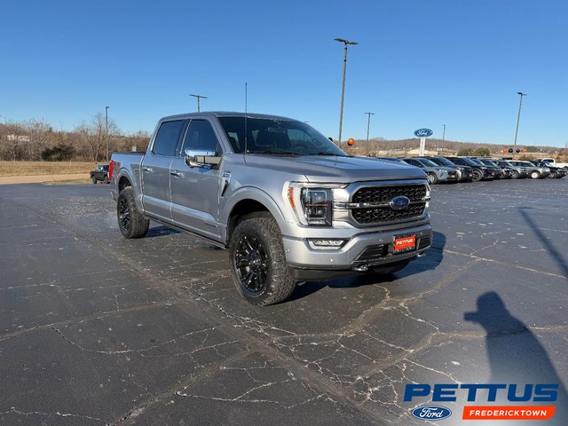 Fredericktown MO 2022 Ford F-150 more details - ford f-150