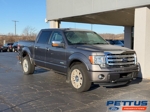 Fredericktown MO 2012 Ford F-150 more details - ford f-150