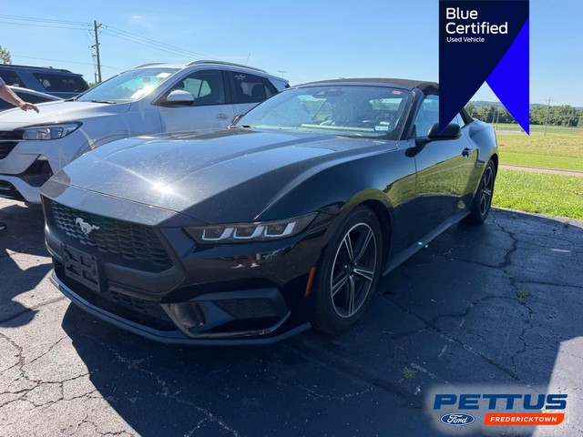 Fredericktown MO 2024 Ford Mustang more details - ford mustang