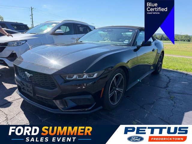Fredericktown MO 2024 Ford Mustang more details - ford mustang