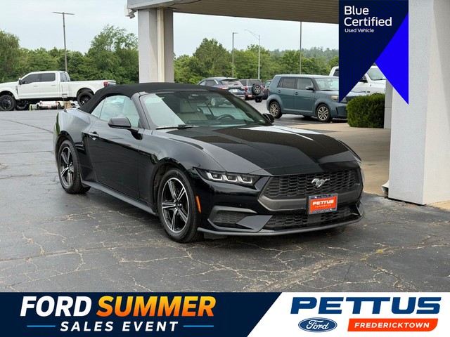 Fredericktown MO 2024 Ford Mustang more details - ford mustang