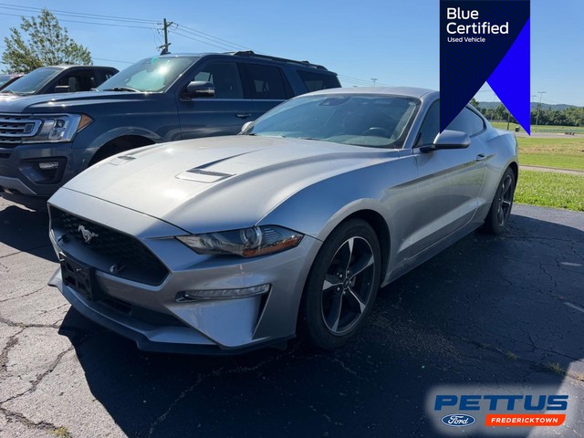 Fredericktown MO 2021 Ford Mustang more details - ford mustang