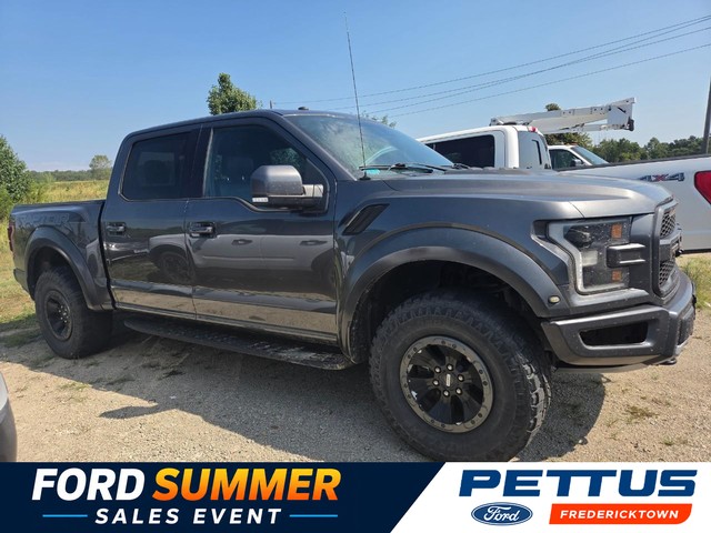 Fredericktown MO 2018 Ford F-150 more details - ford f-150