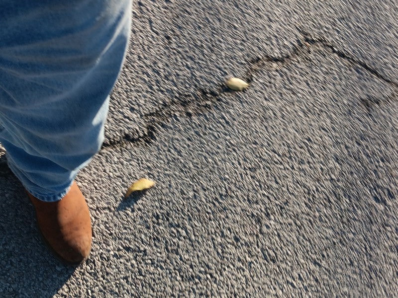 Ford Escape Vehicle Full-screen Gallery Image 37