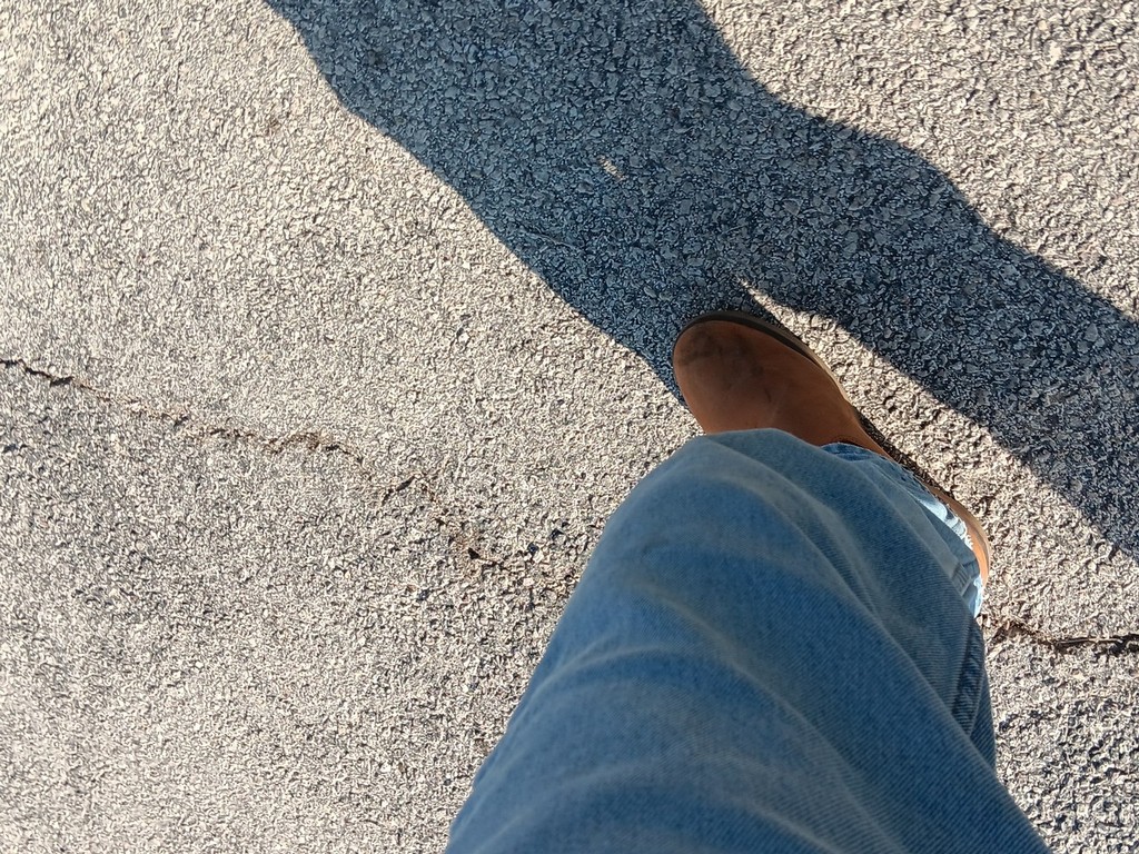 Ford F-150 Vehicle Full-screen Gallery Image 13