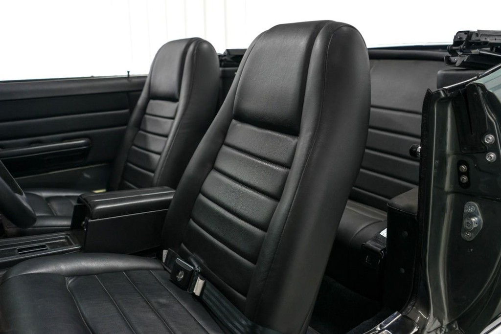Ford Mustang Vehicle Full-screen Gallery Image 51