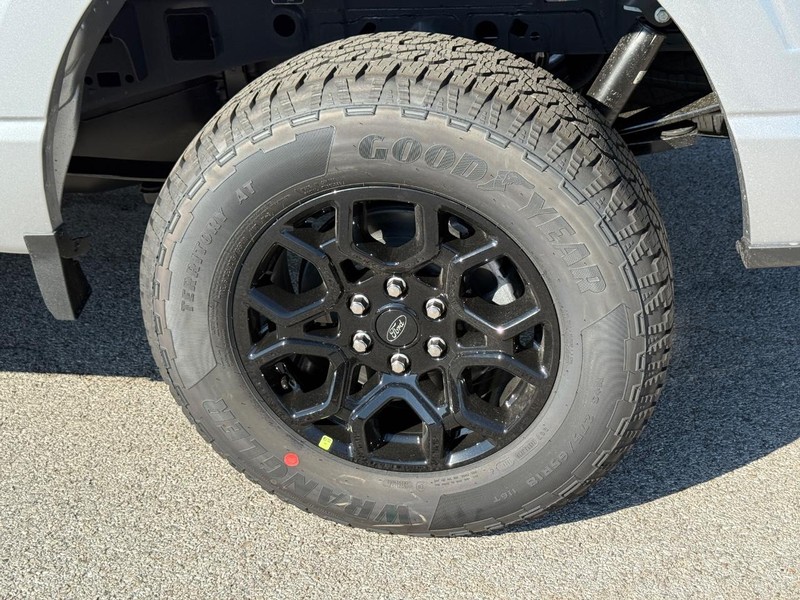 Ford F-150 Vehicle Full-screen Gallery Image 4