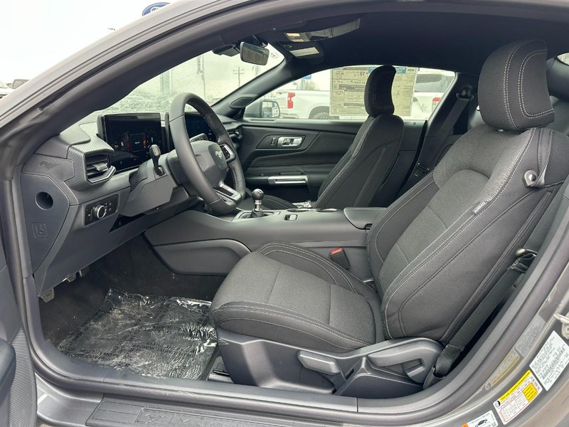 Ford Mustang Vehicle Full-screen Gallery Image 4