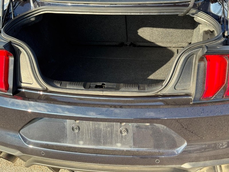 Ford Mustang Vehicle Full-screen Gallery Image 6