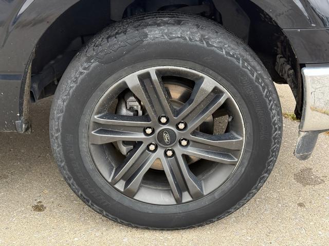 Ford F-150 Vehicle Full-screen Gallery Image 33