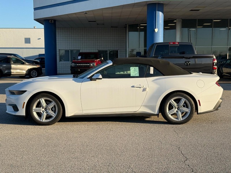 Ford Mustang Vehicle Full-screen Gallery Image 2