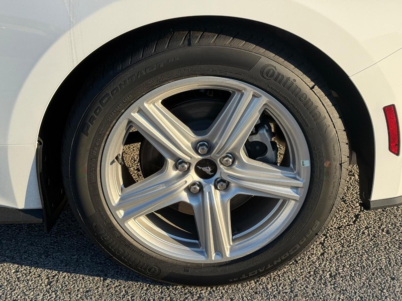 Ford Mustang Vehicle Full-screen Gallery Image 4