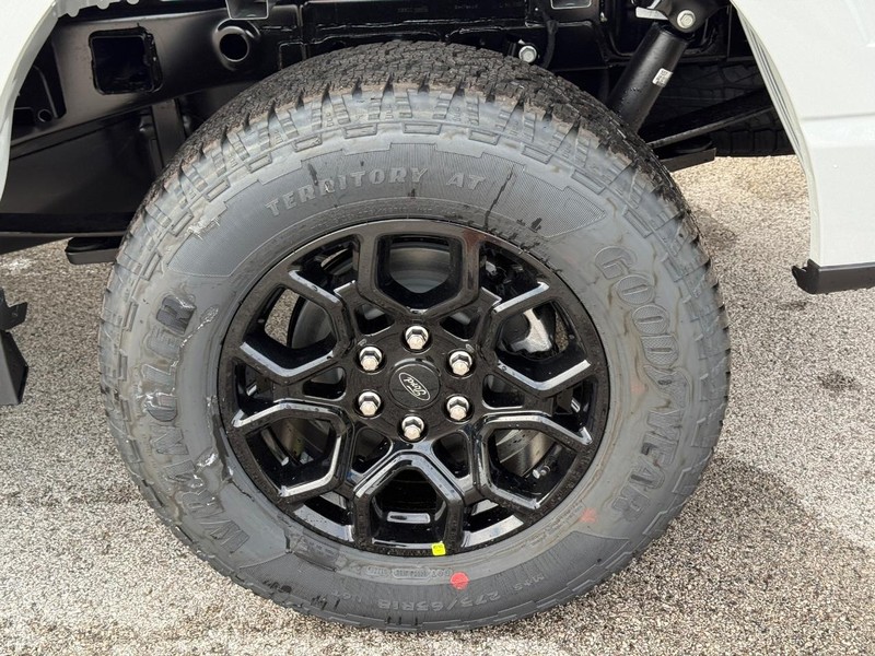 Ford F-150 Vehicle Full-screen Gallery Image 4