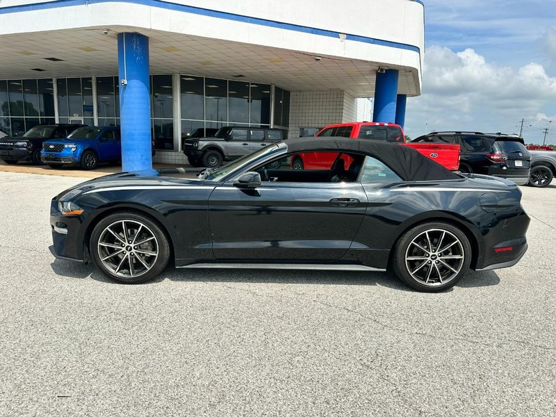 Ford Mustang Vehicle Full-screen Gallery Image 2