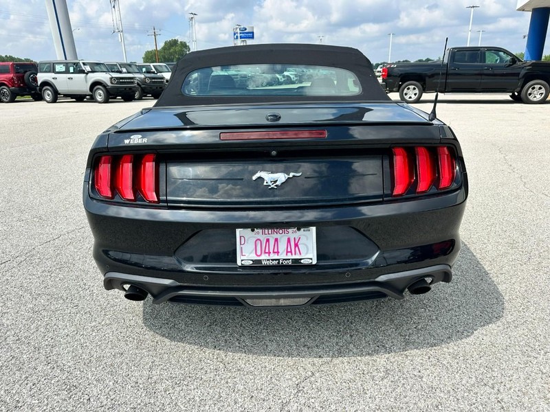 Ford Mustang Vehicle Full-screen Gallery Image 4