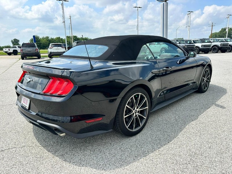 Ford Mustang Vehicle Full-screen Gallery Image 6