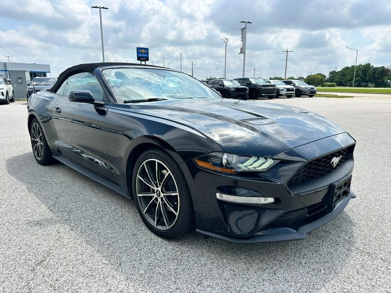 Ford Mustang Vehicle Full-screen Gallery Image 7