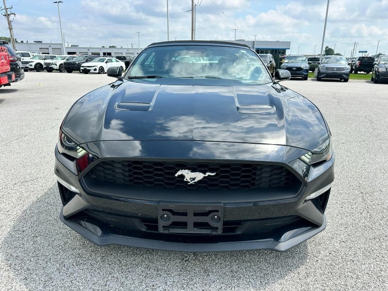 Ford Mustang Vehicle Full-screen Gallery Image 8