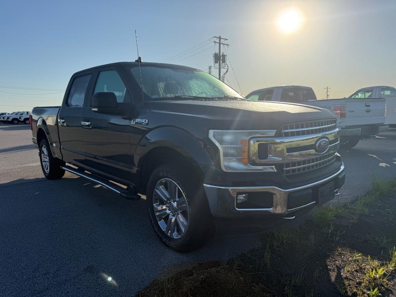 Ford F-150 Vehicle Full-screen Gallery Image 5