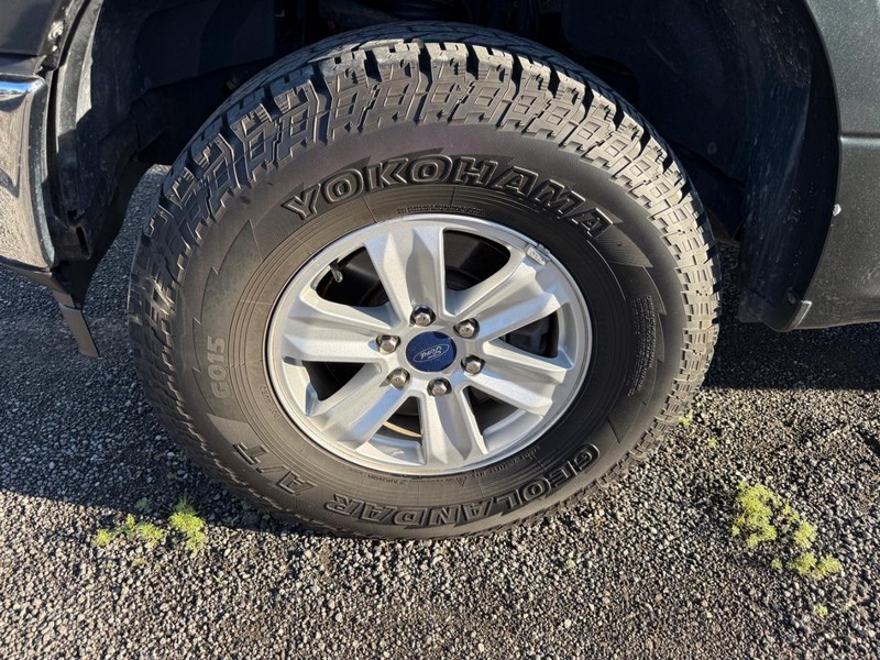 Ford F-150 Vehicle Full-screen Gallery Image 5