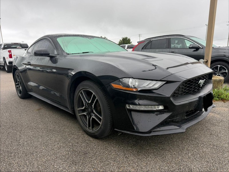 Ford Mustang Vehicle Full-screen Gallery Image 5