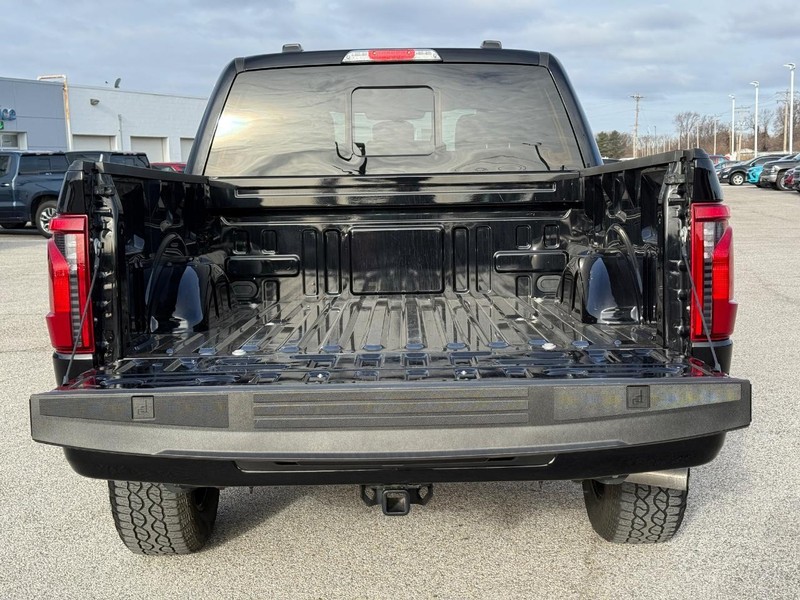 Ford F-150 Vehicle Full-screen Gallery Image 6