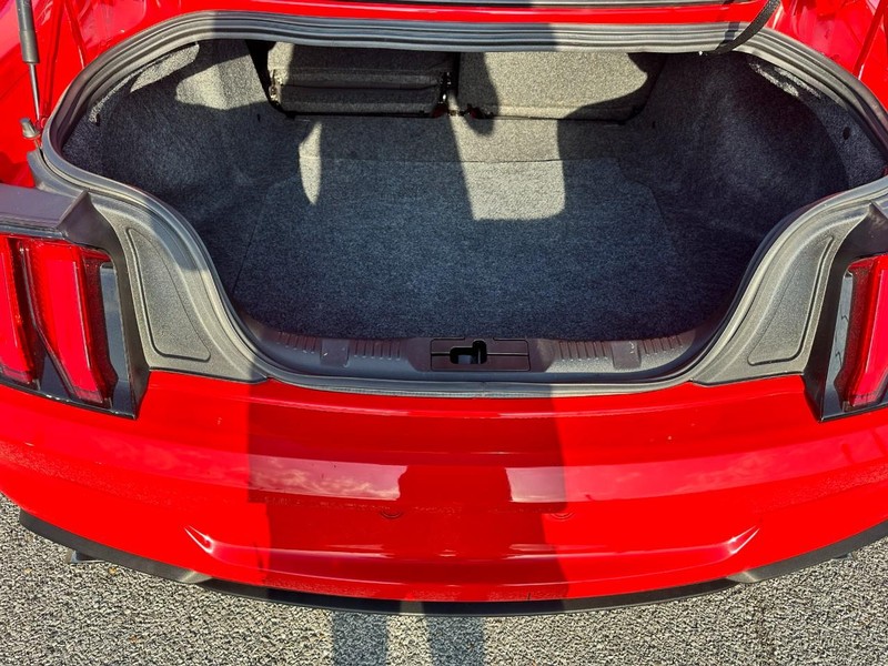 Ford Mustang Vehicle Full-screen Gallery Image 5