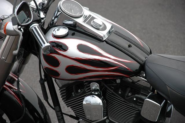 Harley-Davidson FATBOY SOFTAIL Vehicle Image 02
