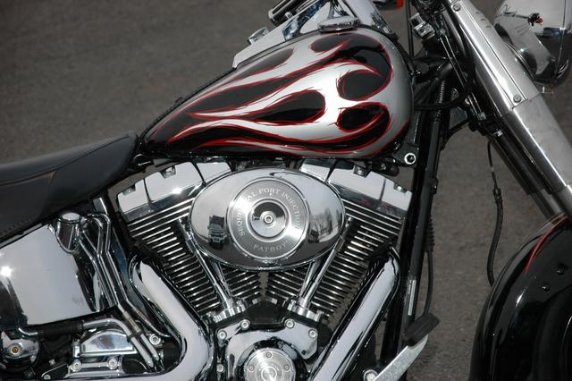Harley-Davidson FATBOY SOFTAIL Vehicle Image 03