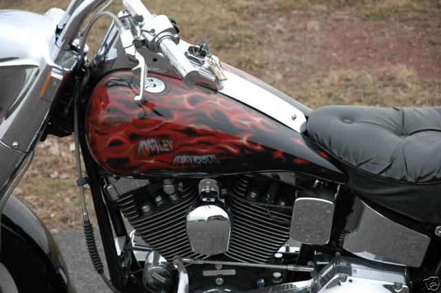 Harley-Davidson HERITAGE SOFTAIL Vehicle Image 06